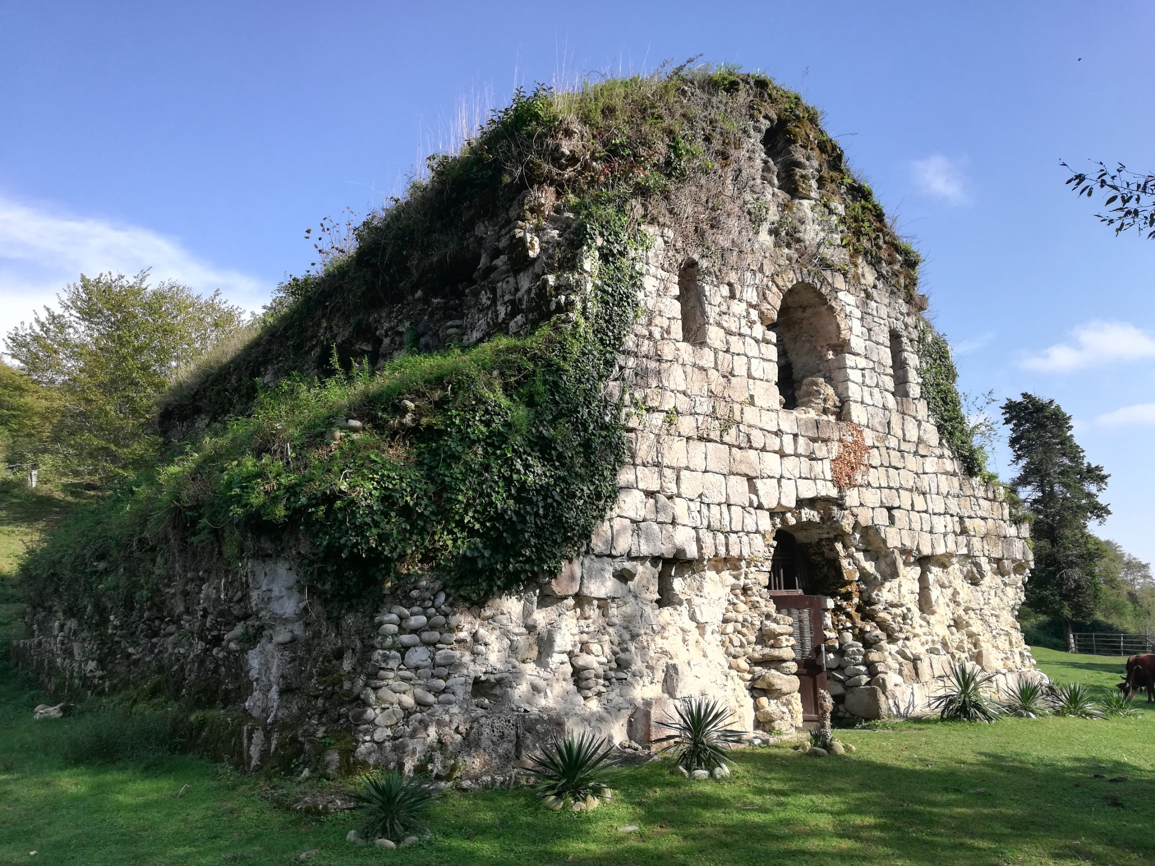 Руины в зелени. Мюссера – фотографии Абхазии