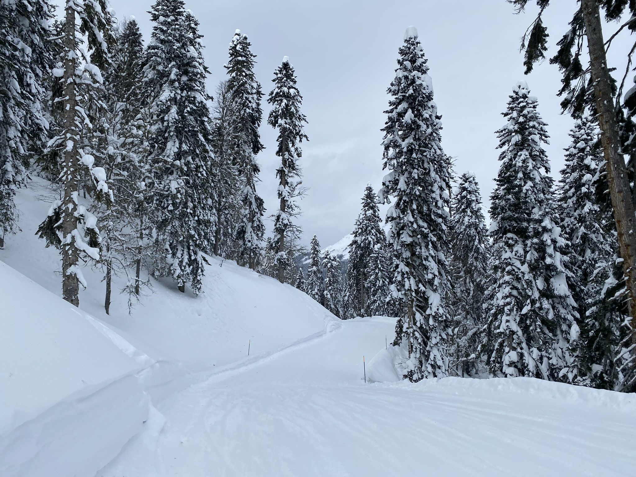 Роза Хутор Южный склон, синяя трасса Календула и её пейзажи – фотографии России