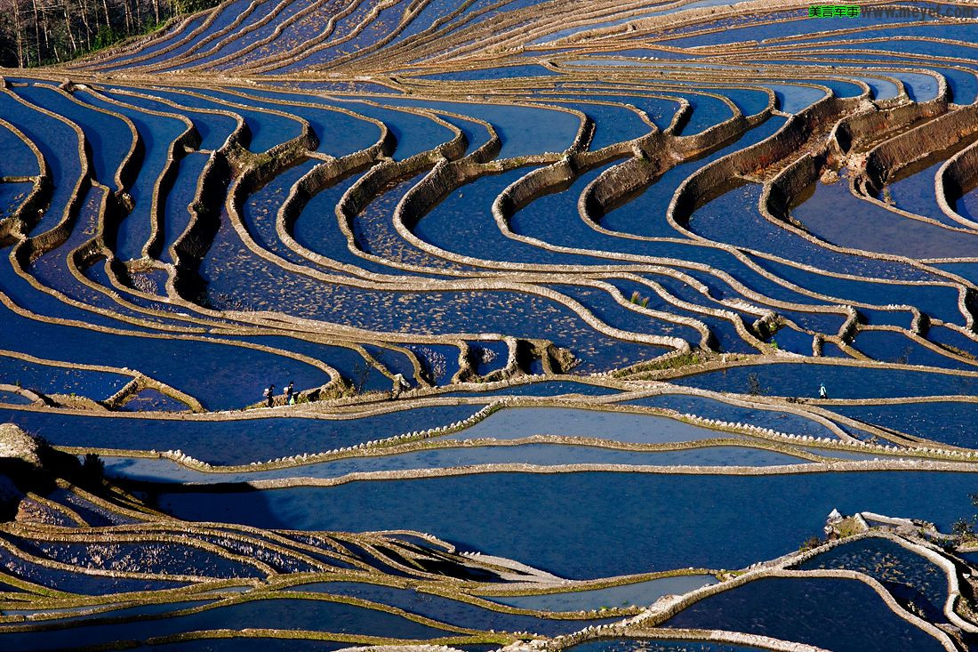 Зрелищные рисовые террасы Хунхэ-Хани в Китае – фотографии Китая