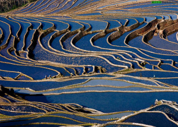 Зрелищные рисовые террасы Хунхэ-Хани в Китае – фотографии Китая