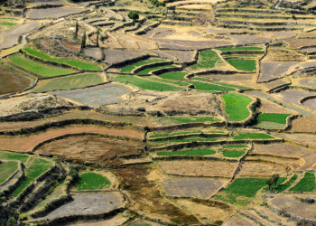Террасовые поля в каньоне Колка – фотографии Перу