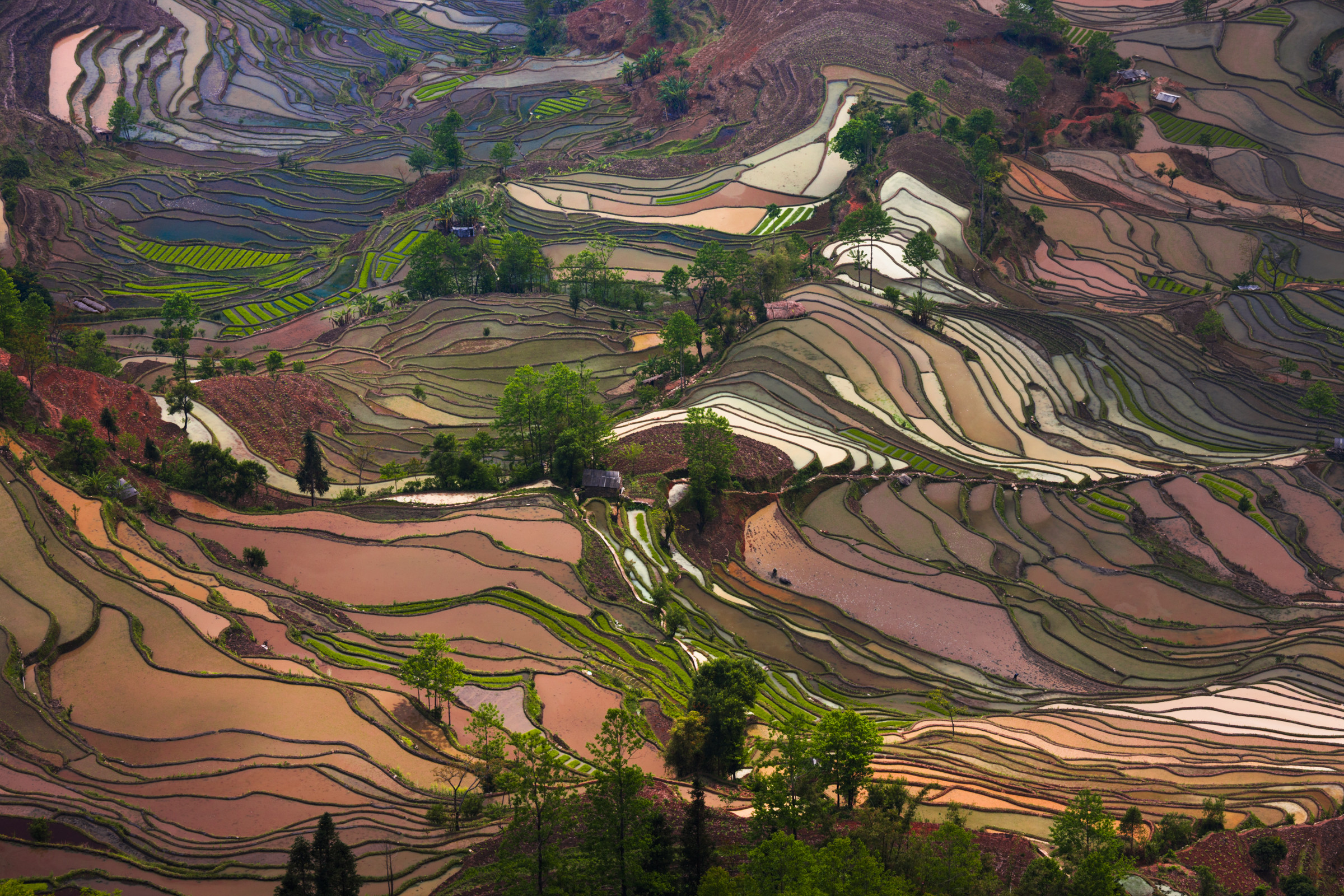 Зрелищные ландшафты террас риса Хунхэ-Хани (Honghe Hani Rice Terraces) в Китае – фотографии Китая