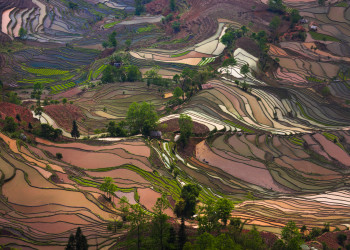 Зрелищные ландшафты террас риса Хунхэ-Хани (Honghe Hani Rice Terraces) в Китае – фотографии Китая