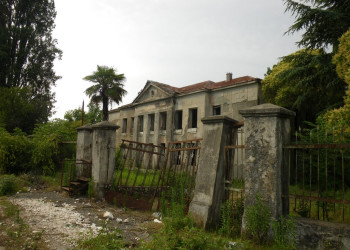 Забытые развалины. Гячрипш – фотографии Абхазии