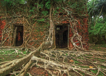 Туристический остров Росс (Ross Island) в Индии – фотографии Индии