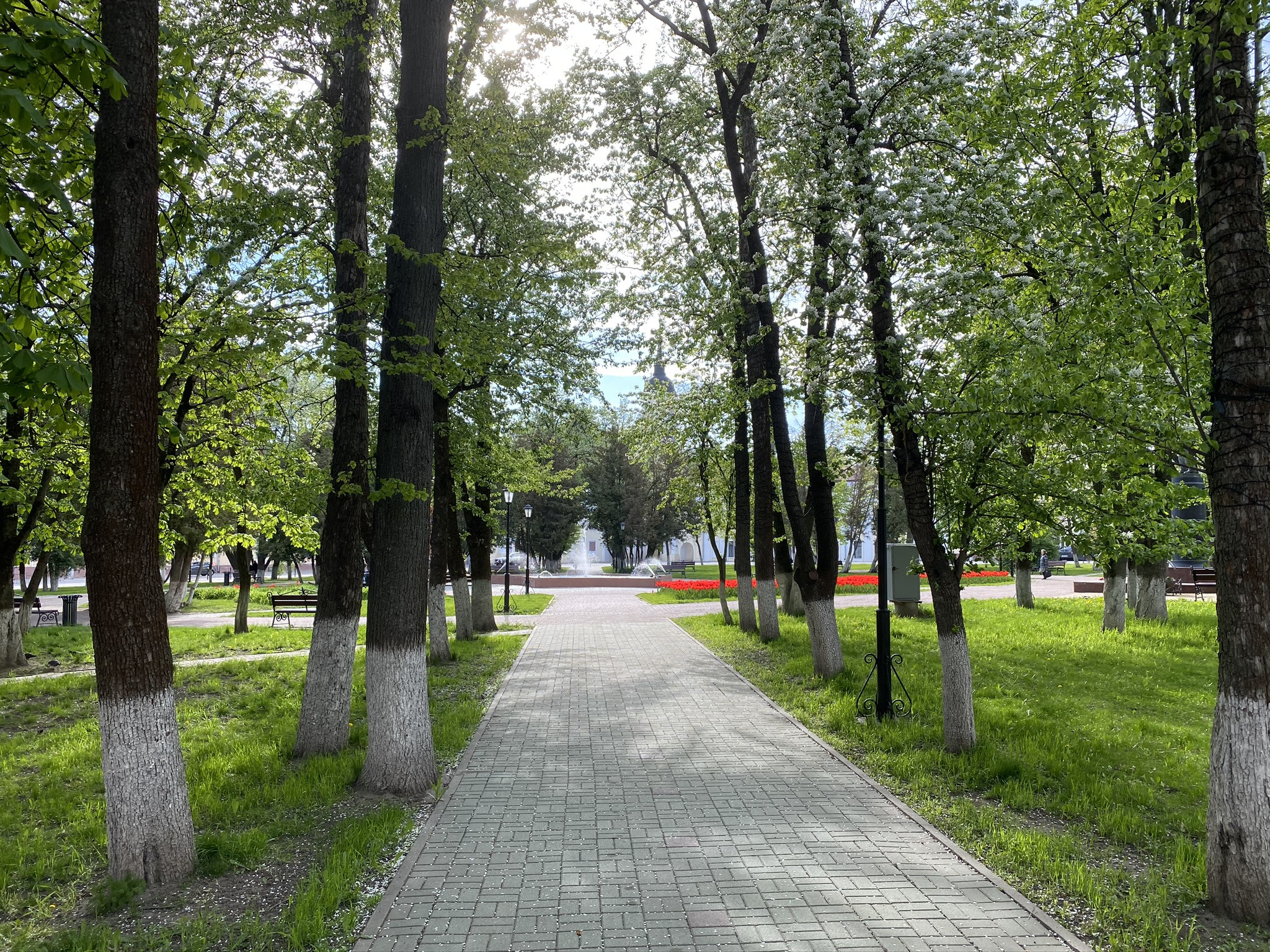 Сквер Ленина в Калуге – фотографии России