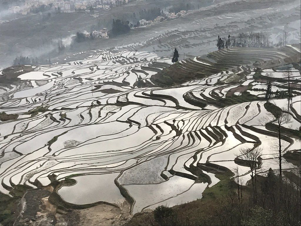 Рисовые террасы Хунхэ-Хани 1 – фотографии Китая