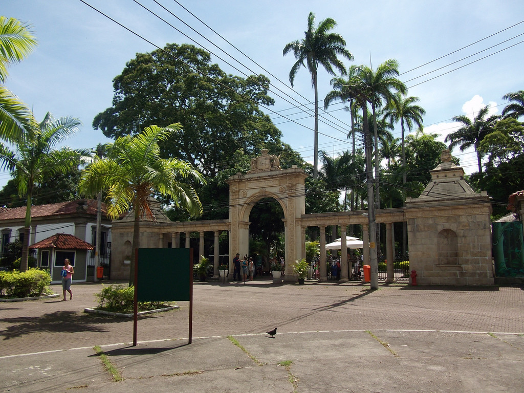 Зоопарк Рио-де-Жанейро – фотографии Бразилии