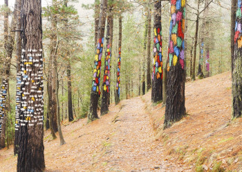 Результатом творения художника является удивительное слияние искусства и природы в Живом лесу Ома – фотографии Испании