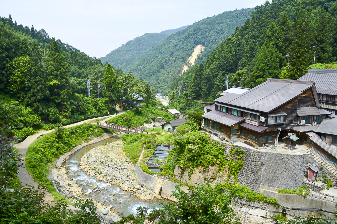 Парк обезьян Джигокудани расположен недалеко от японских городов Сибу и Яманучи – фотографии Японии
