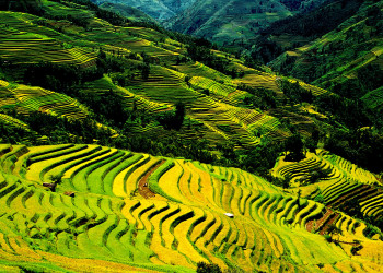 Зрелищные ландшафты террас риса Хунхэ-Хани (Honghe Hani Rice Terraces), Китай – фотографии Китая