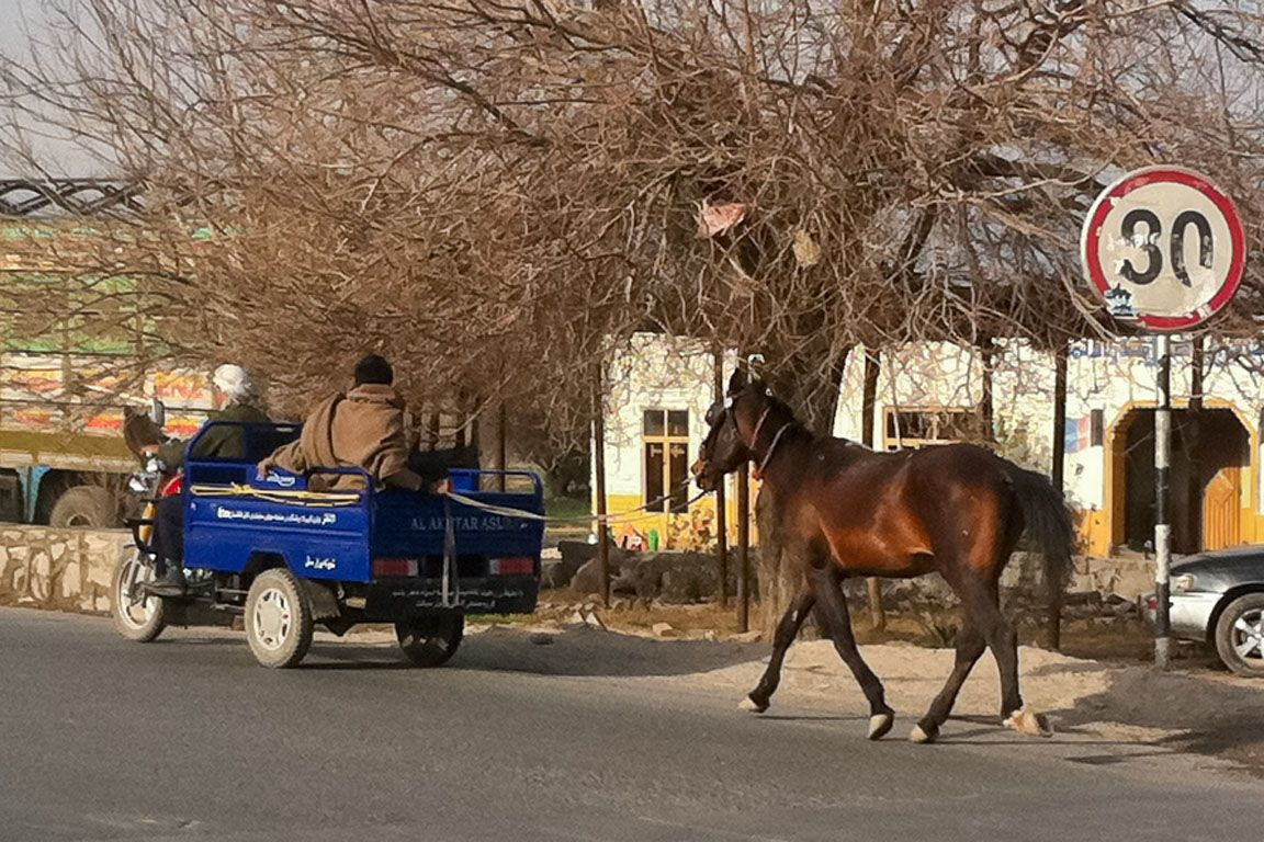 Проезжая часть. Лошадь и машина. Афганистан – фотографии Афганистана