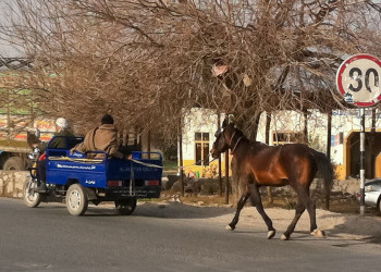 Проезжая часть. Лошадь и машина. Афганистан – фотографии Афганистана