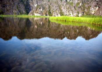 Экскурсия по заповеднику водно-болотных угодий Ван-Лонг – фотографии Вьетнама