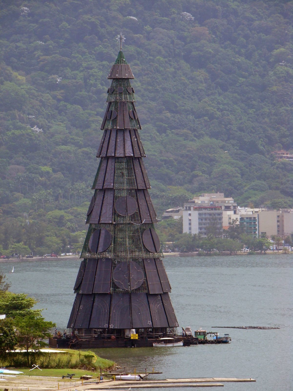 Рождественская Ель лагуны Родриго-де-Фрейтас  – фотографии Бразилии