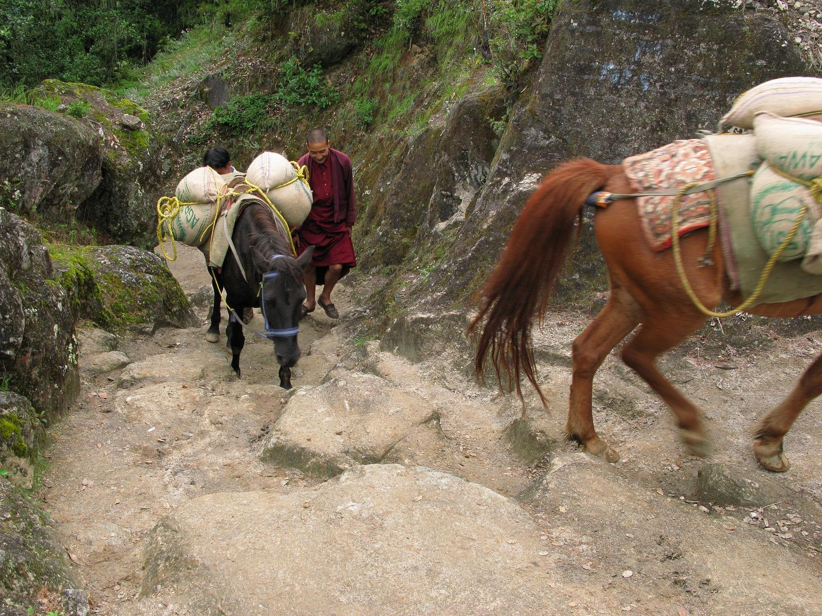 Таксанг-лакханг (Taktsang Lhakhang) – фотографии Бутана