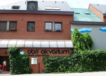 Здание Оромного аквариума – фотографии Чехии