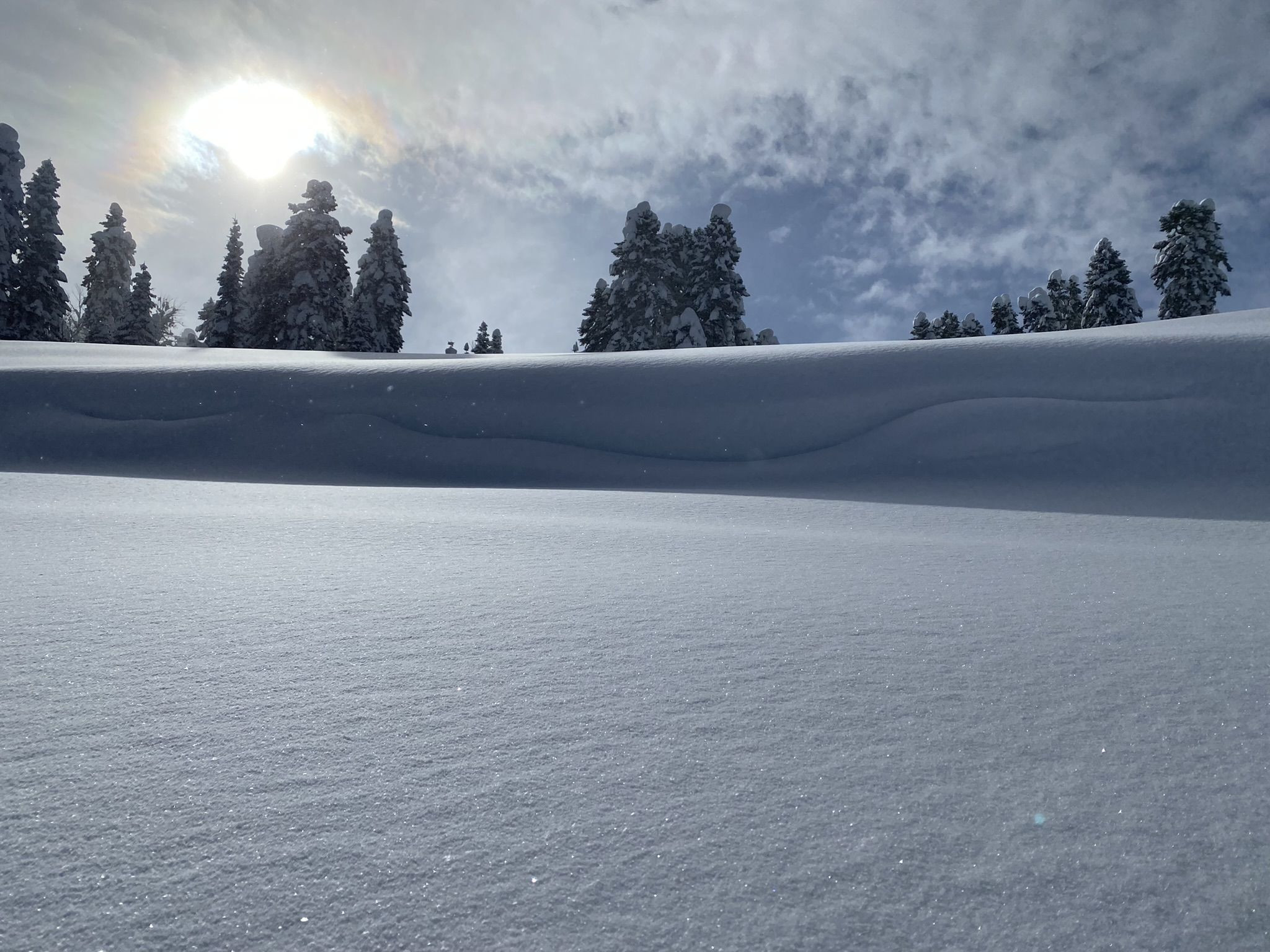 Роза Хутор Южный склон, трасса Календула и огромные сугробы вдоль неё – фотографии России
