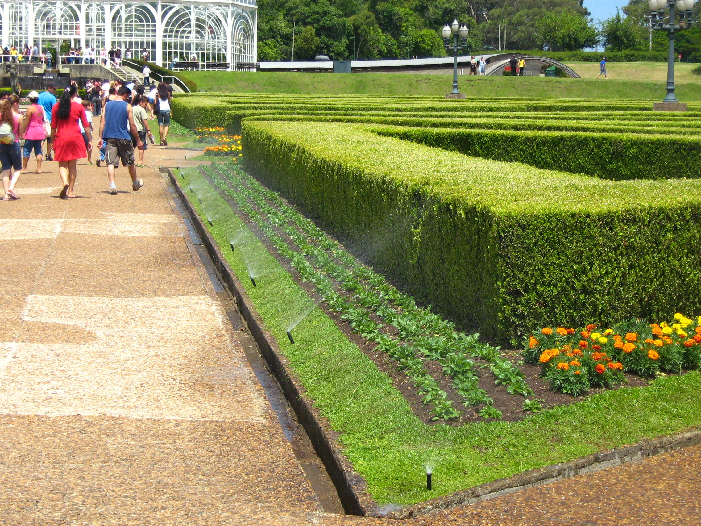Ботанический сад (Jardim Botanico de Curitiba) в Куритибе – фотографии Бразилии