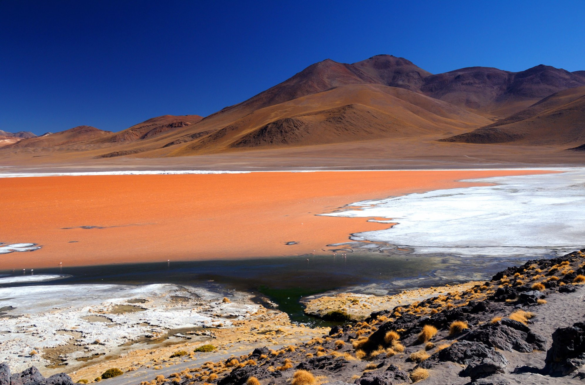 Лагуна Колорадо (Laguna Colorada) – фотографии Боливии