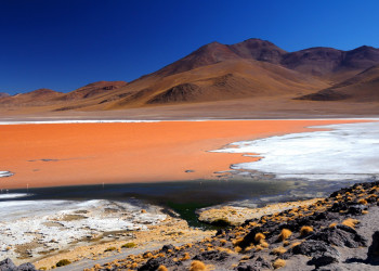 Лагуна Колорадо (Laguna Colorada) – фотографии Боливии