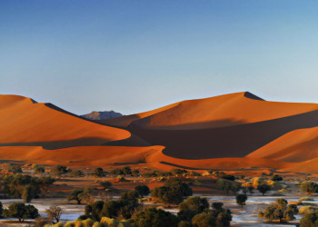 Сюрреалистическая Мёртвая долина (Deadvlei) в Намибии – фотографии Намибии