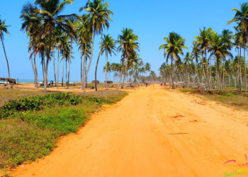 Побережье Бенина – фотографии Бенина