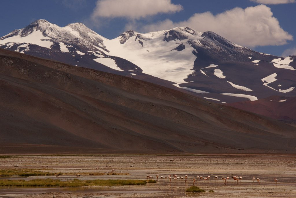 Le Monte Pissis, 6795 mètres, et les flamants rose – фотографии Аргентины