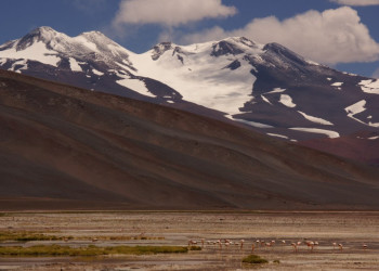 Le Monte Pissis, 6795 mètres, et les flamants rose – фотографии Аргентины
