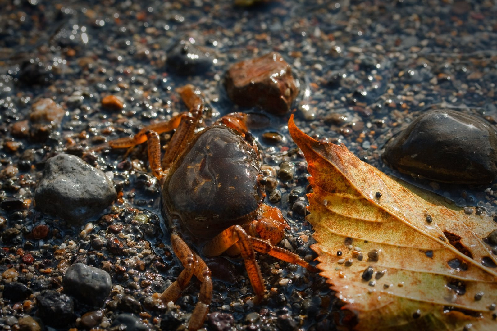 Towada- Hachimantai National Park – фотографии Японии