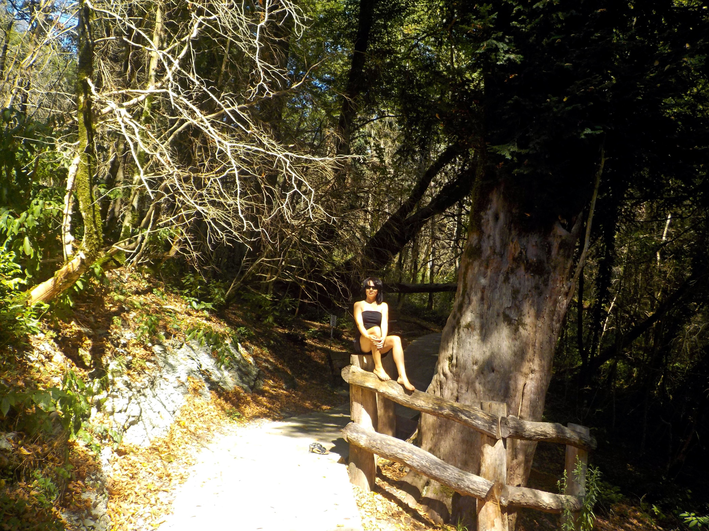 Хоста – фотографии России