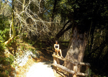 Хоста – фотографии России