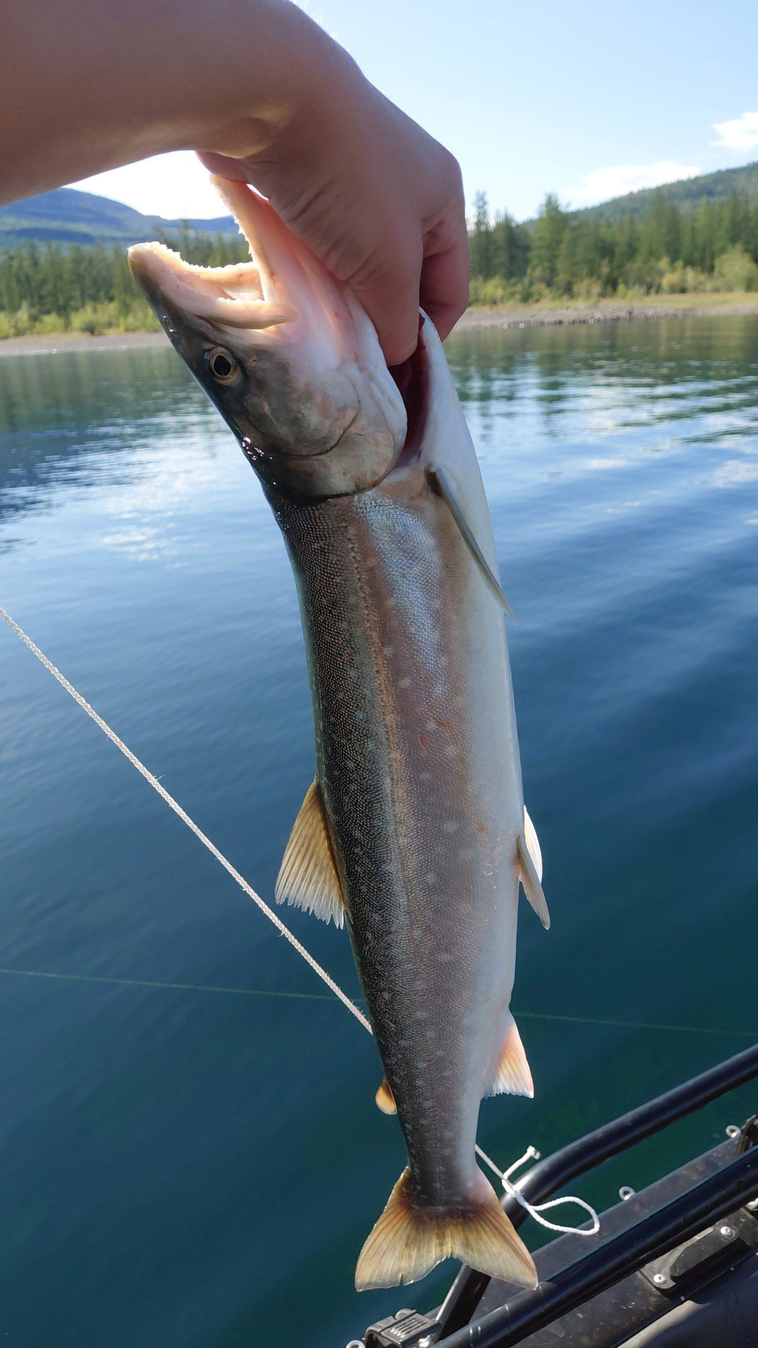 Рыбалка – фотографии России