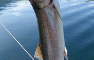 Рыбалка – фотографии России