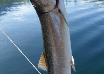 Рыбалка – фотографии России