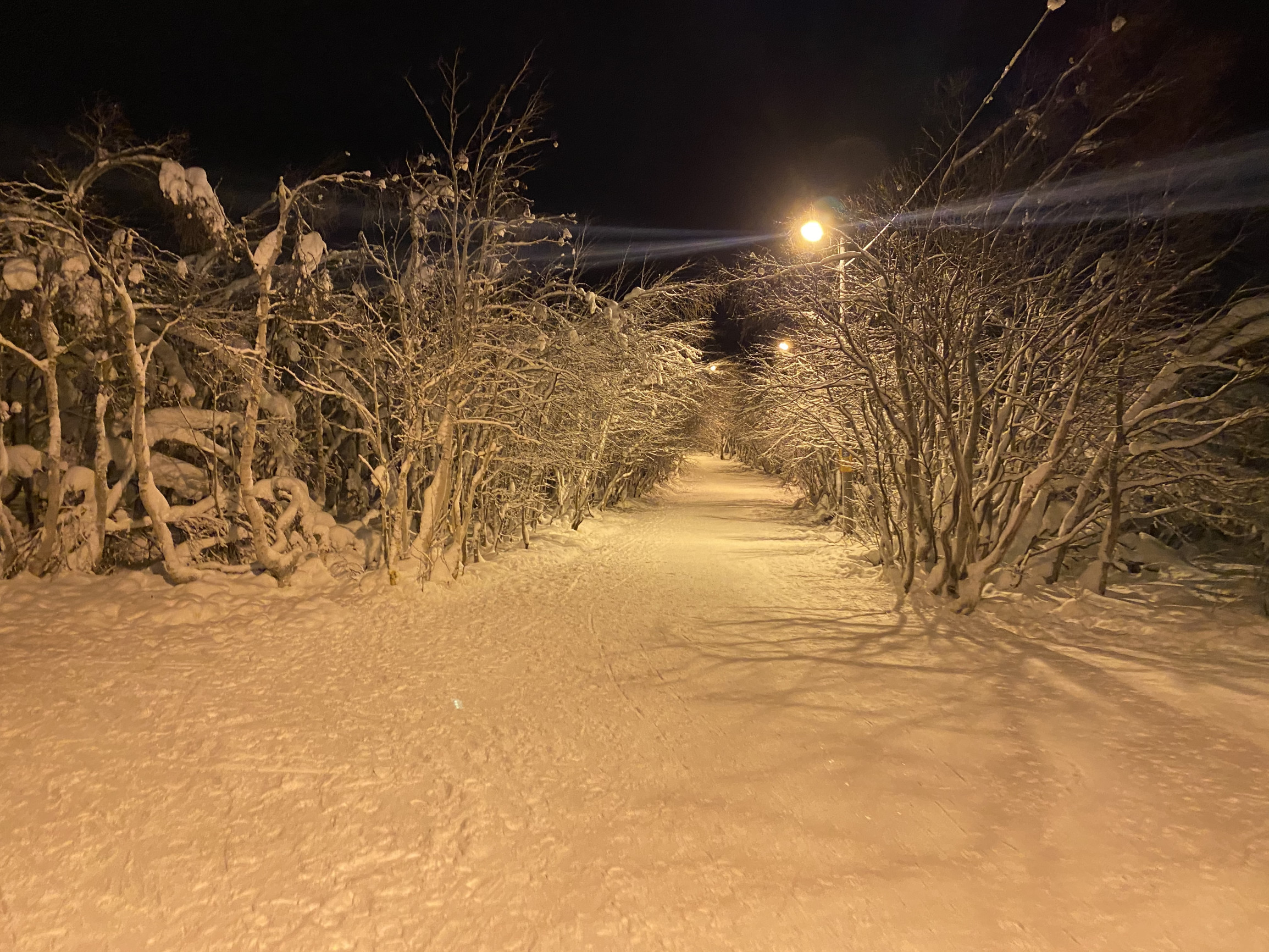 Зимний городской парк, Кировск – фотографии России