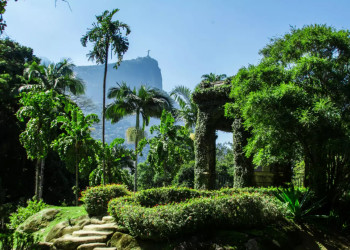 Ботанический сад в Рио-де-Жанейро (Jardim Botânico do Rio de Janeiro) – фотографии Бразилии