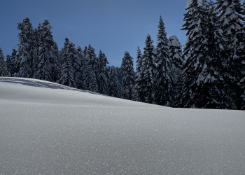 Нетронутый пухляк на трассе Сторожка на Розе Хутор – фотографии России