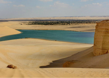Озеро Карун 1 – фотографии Египта