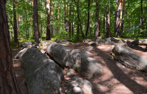 Остров Веры 6 – фотографии России