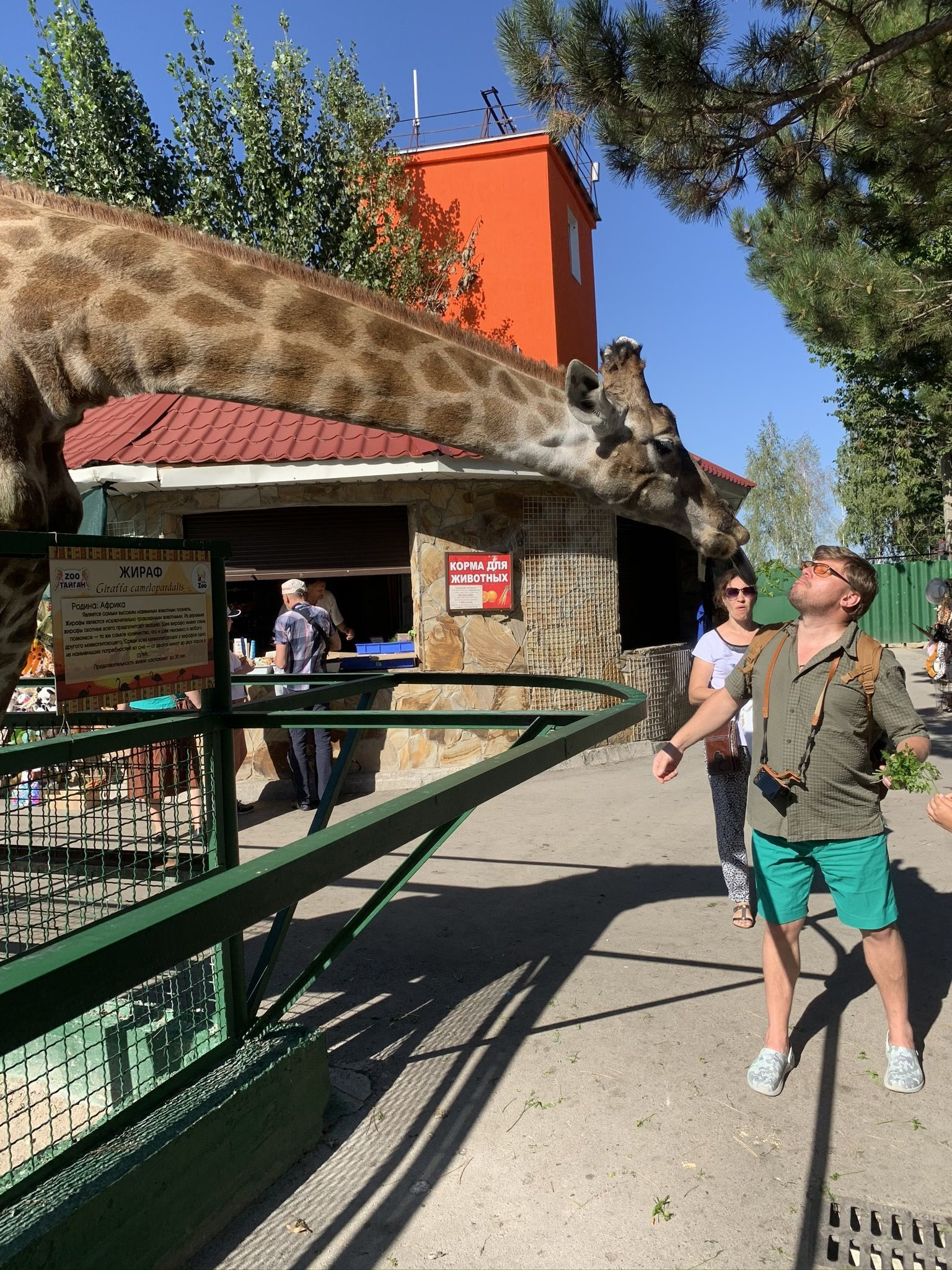 ЕХ – фотографии