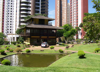 Японская площадь – фотографии Бразилии