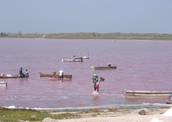 Розовое озеро в Сенегале 2 – фотографии Сенегала