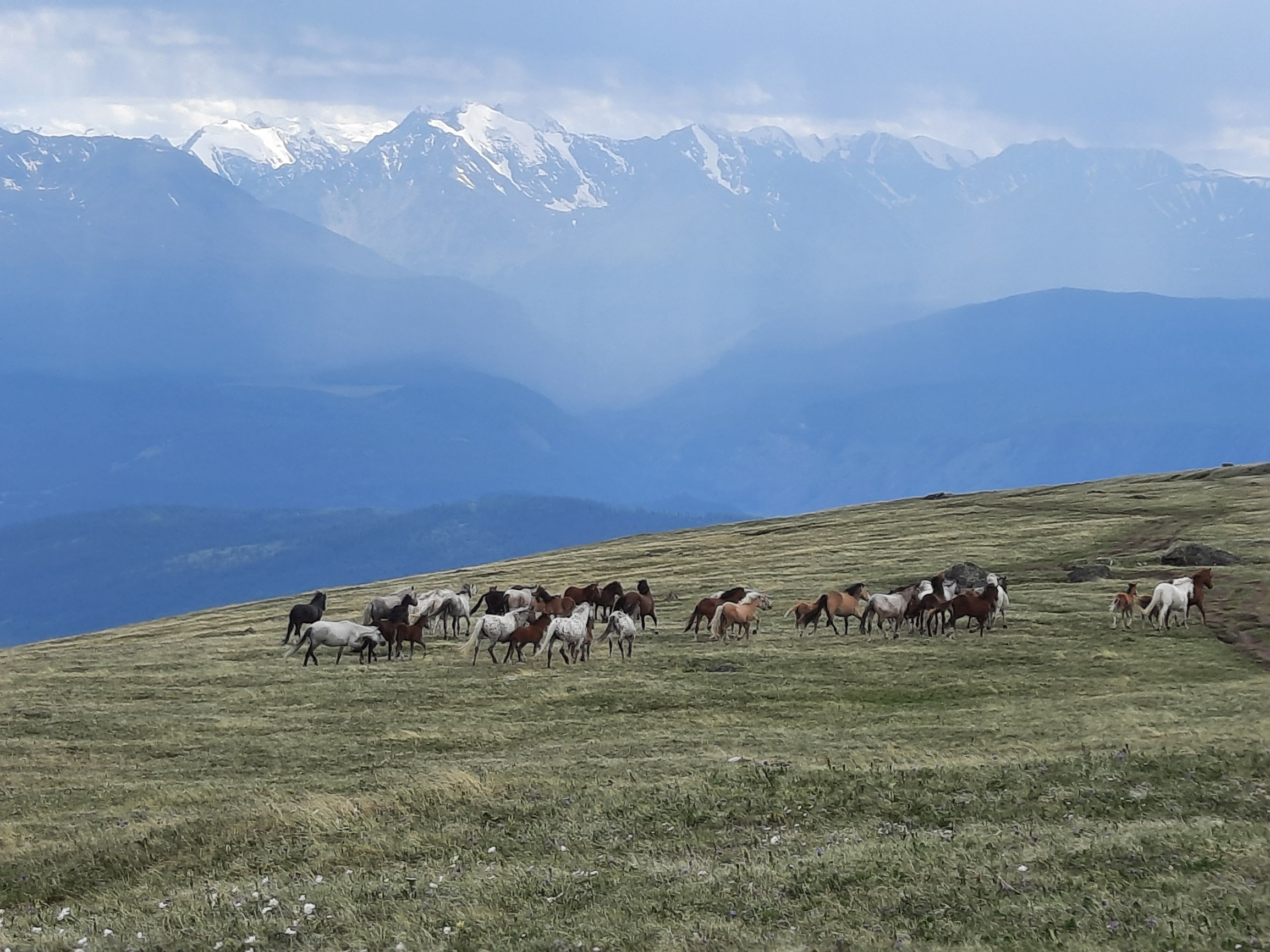 Свободные – фотографии России