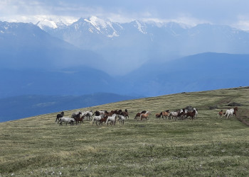 Свободные – фотографии России