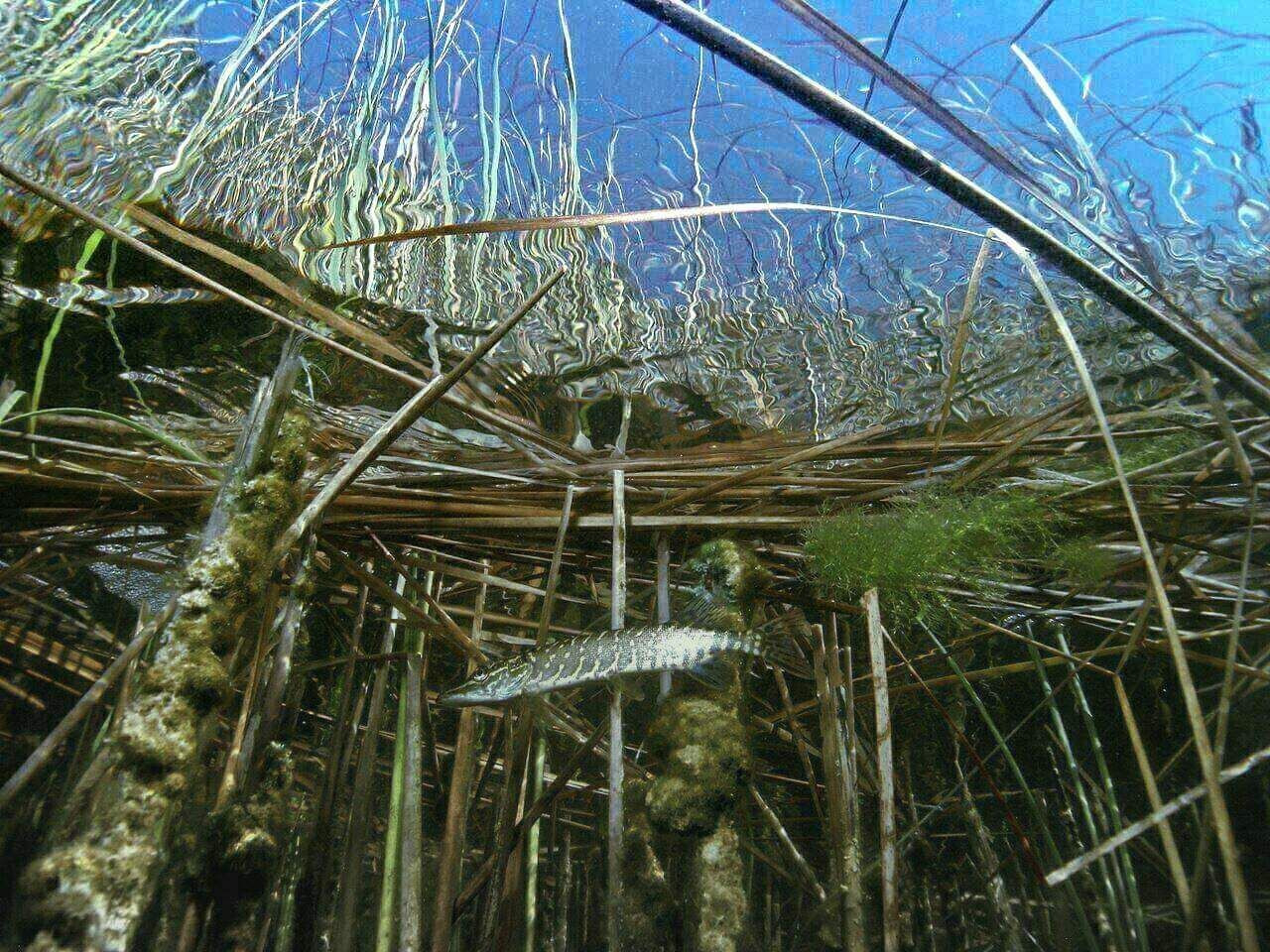 разное – фотографии России