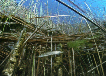 разное – фотографии России