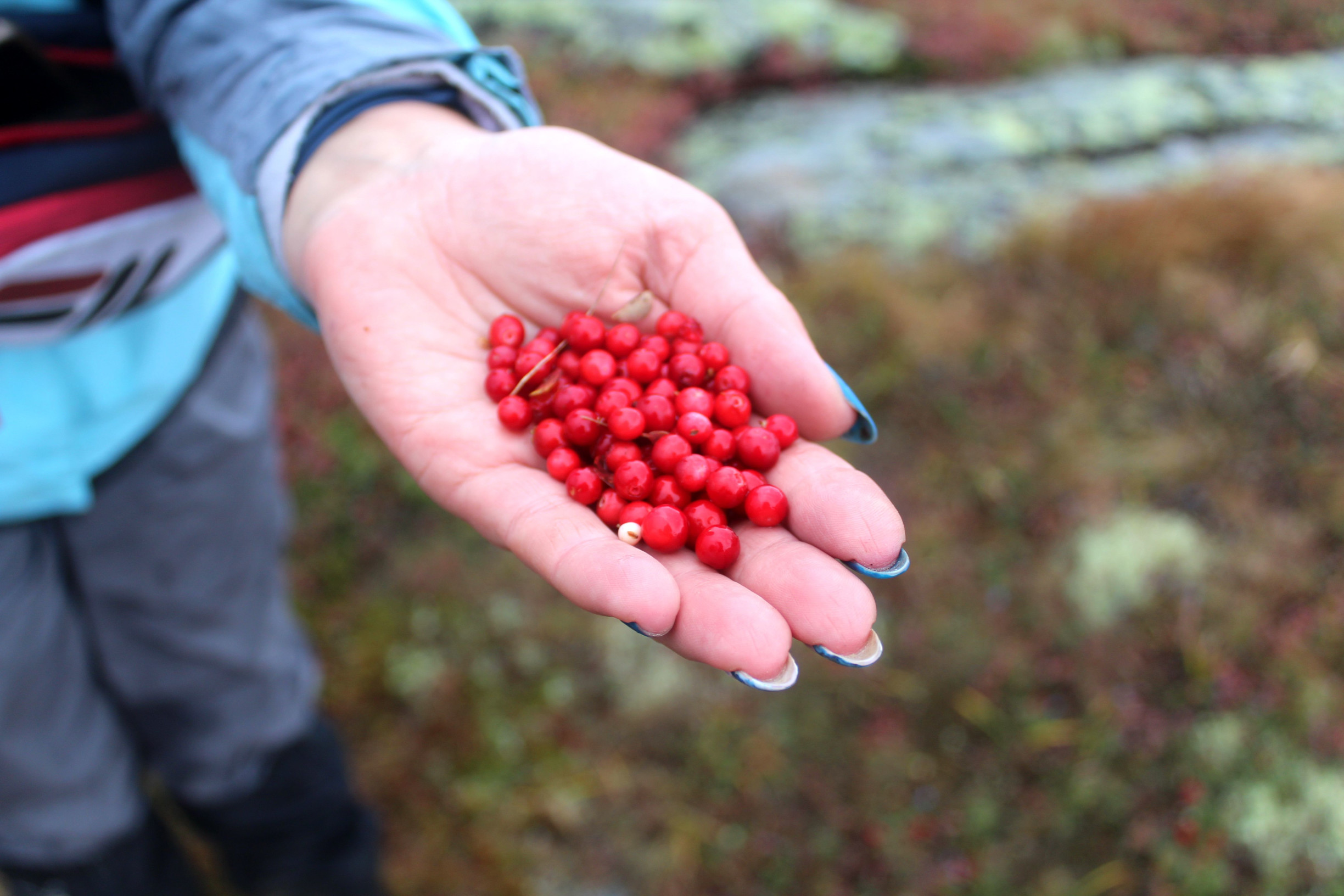 хр.Таганай – фотографии