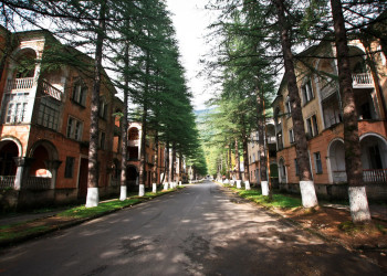 Хвойная аллея. Ткуарчал. Абхазия – фотографии Абхазии