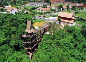 Немецкий Лес (Bosque Alemao) или German Woods в Куритибе – фотографии Бразилии